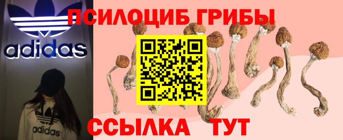 купить  сайты  Галлюциногенные грибы Psilocybine cubensis  Вход с VPN  Галлюциногенные грибы MAGIC MUSHROOMS  Элиста 