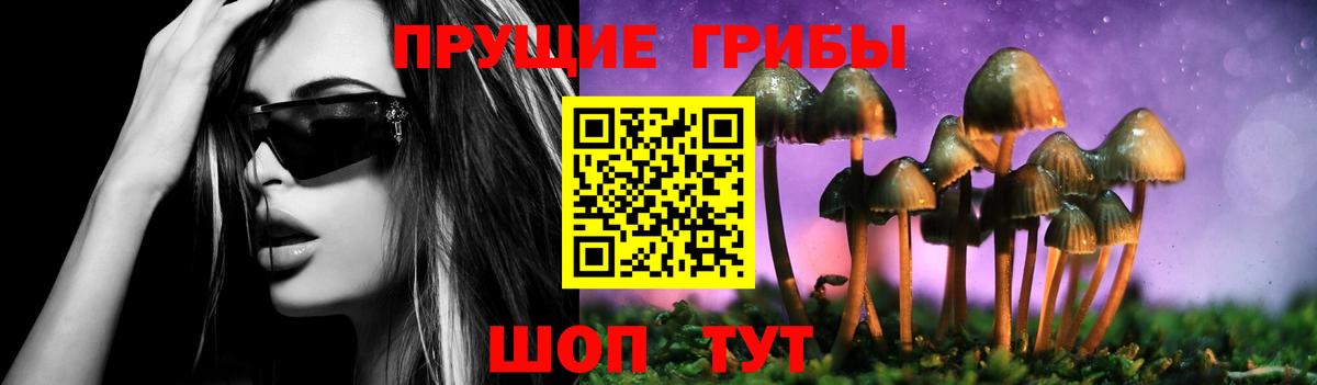 Псилоцибиновые грибы MAGIC MUSHROOMS Элиста